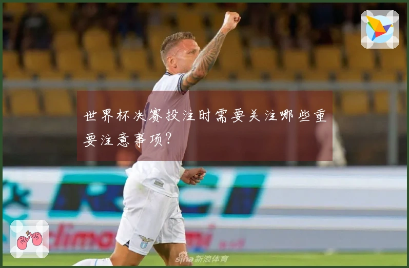 世界杯决赛投注时需要关注哪些重要注意事项?