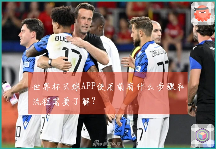 世界杯买球APP使用前有什么步骤和流程需要了解？