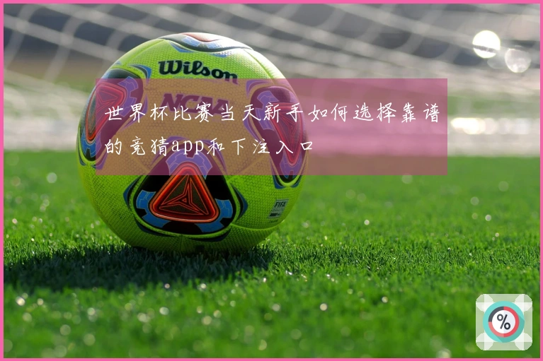 世界杯比赛当天新手如何选择靠谱的竞猜app和下注入口