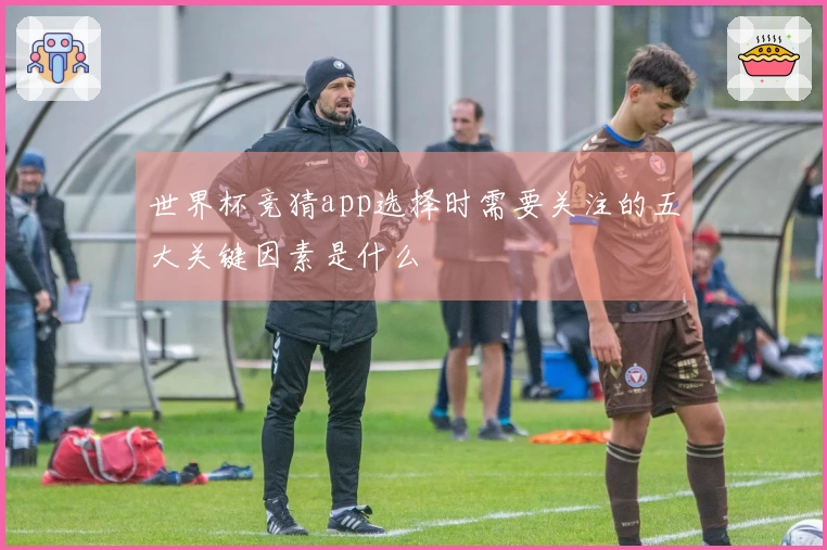 世界杯竞猜app选择时需要关注的五大关键因素是什么