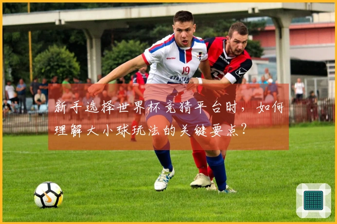 新手选择世界杯竞猜平台时，如何理解大小球玩法的关键要点？
