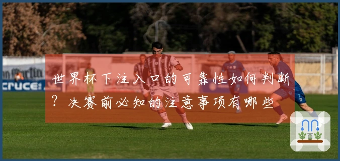 世界杯下注入口的可靠性如何判断？决赛前必知的注意事项有哪些