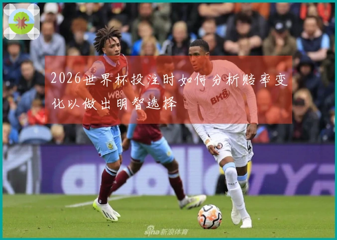 2026世界杯投注时如何分析赔率变化以做出明智选择