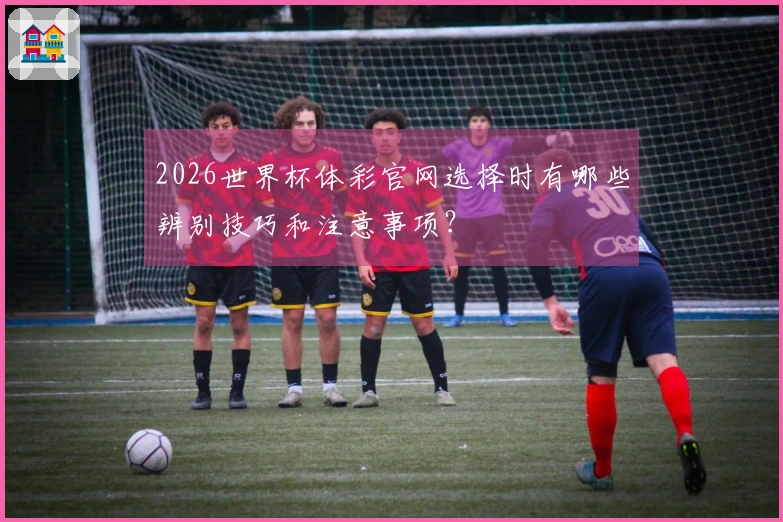 2026世界杯体彩官网选择时有哪些辨别技巧和注意事项？