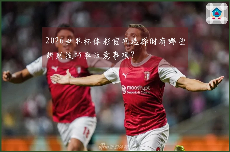 2026世界杯体彩官网选择时有哪些辨别技巧和注意事项？