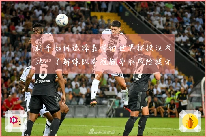新手如何选择靠谱的世界杯投注网站，了解球队夺冠概率和风险提示