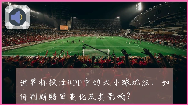 世界杯投注app中的大小球玩法，如何判断赔率变化及其影响？