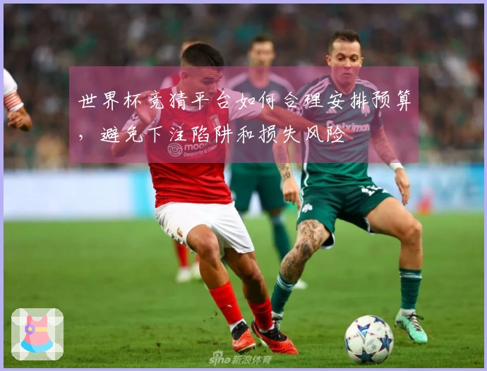 世界杯竞猜平台如何合理安排预算，避免下注陷阱和损失风险