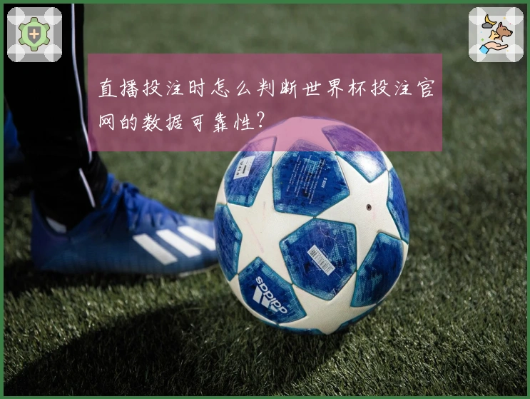 直播投注时怎么判断世界杯投注官网的数据可靠性？