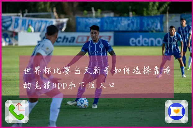 世界杯比赛当天新手如何选择靠谱的竞猜app和下注入口