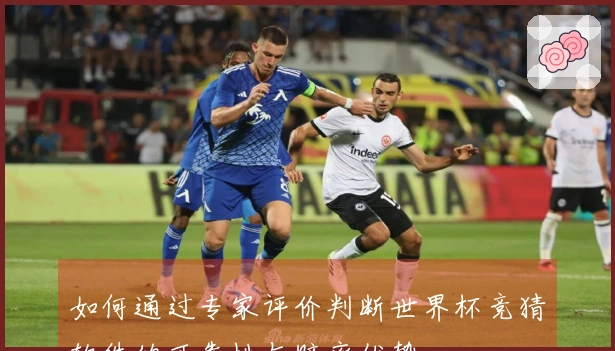 如何通过专家评价判断世界杯竞猜软件的可靠性与赔率优势