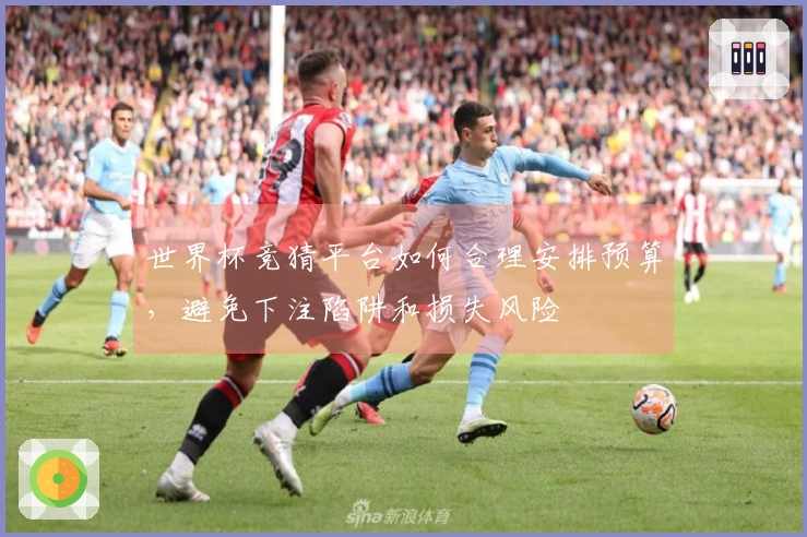 世界杯竞猜平台如何合理安排预算，避免下注陷阱和损失风险