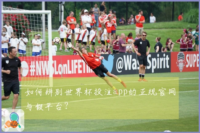 如何辨别世界杯投注app的正规官网与假平台？