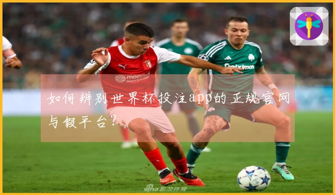 如何辨别世界杯投注app的正规官网与假平台？